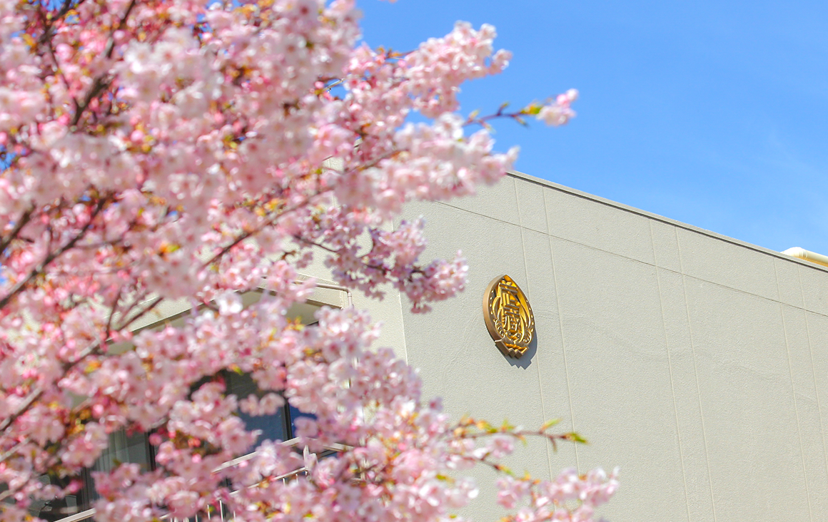 合格発表・入学手続