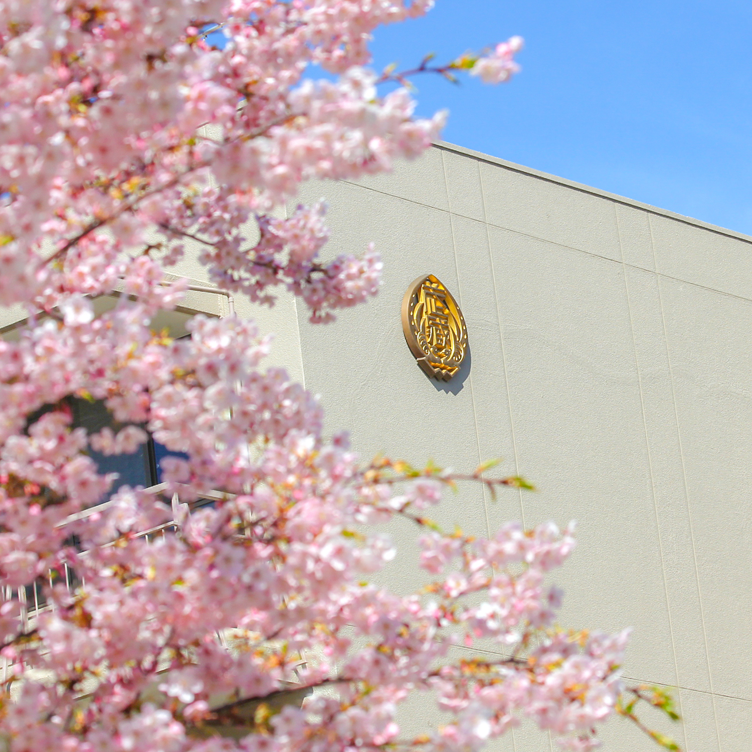 合格発表・入学手続