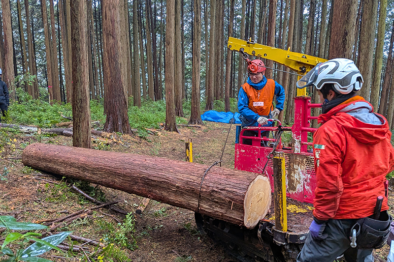 木材を荷台に積み込み運搬するフォワーダー