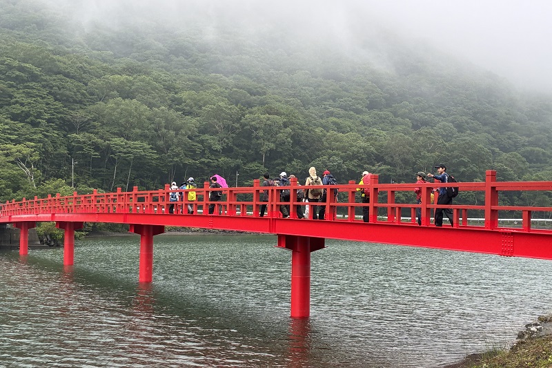 赤城神社前の啄木鳥（きつつき）橋を渡る