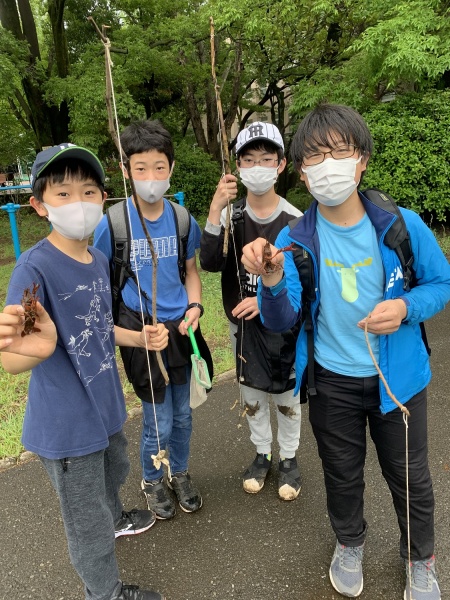 ザリガニを見せてくれる中1生の画像