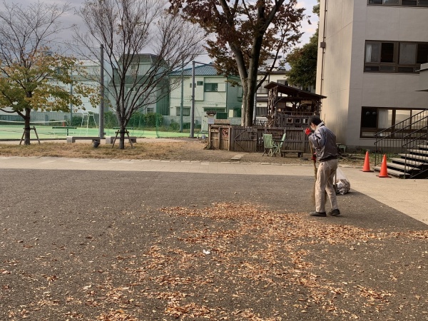 枯葉の清掃の画像