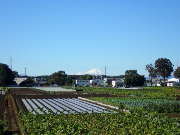 車窓から見えた富士山