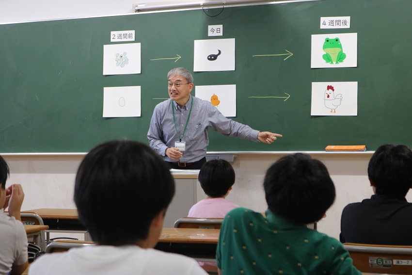 英語の体験授業の様子