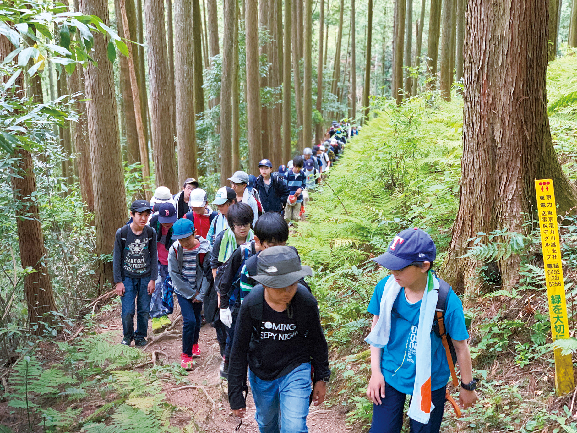 学校山林遠足